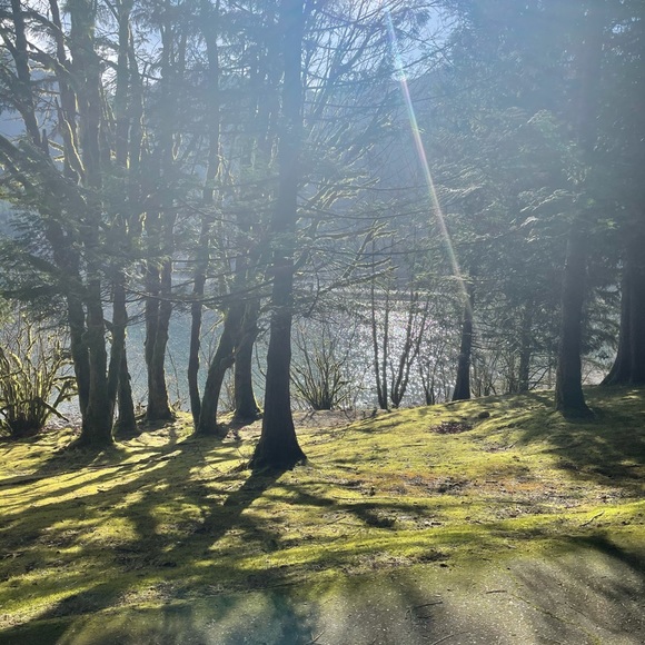 Meet your Posher, Maria - Picture 1 of 1